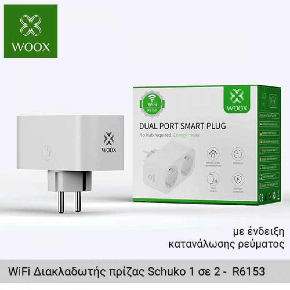 SMART DUAL PLUG